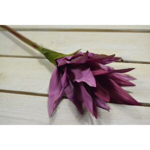 Umělý květ kurkuma - fialová (V: 52cm) 049 velikost