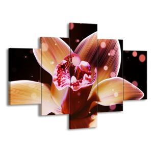 Vícedílný obraz Kouzelná orchidej 100x70 cm