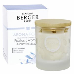 Maison Berger Paris svíčka Aroma Focus – Aromatické listí, 180 g