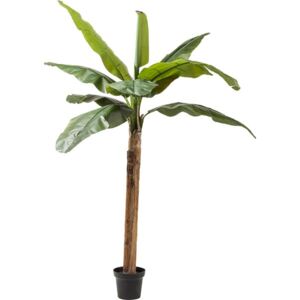 KARE DESIGN Umělá rostlina Palma Banánovník 190cm