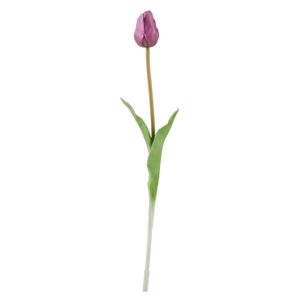FLORISTA Tulipán 47 cm - fialová