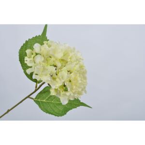 Umělá květina hortensie Silk-Ka, délka 58 cm, krémová