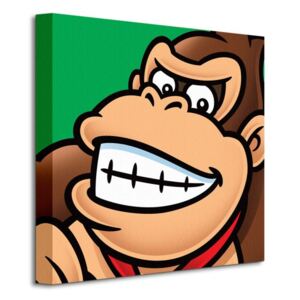 Obraz na plátně Nintendo Super Mario (Donkey Kong) 40x40cm WDC95447