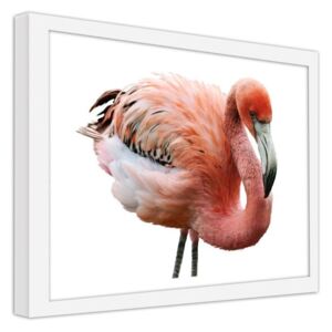 CARO Obraz v rámu - Pink Flamingo 50x40 cm Bílá