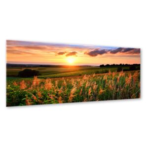 Obraz na skle Styler - Sunset Meadow 120x80 cm