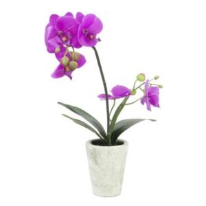Orchidej fialová v dekoračním květináči, 6 květů, 56 cm - MAXINAKUP.cz