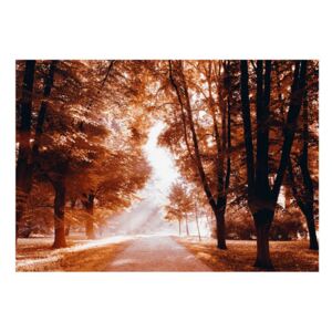 Samolepící fototapeta - Podzimní park - Autumn Park + zdarma lepidlo - 196x140