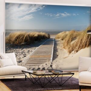 Samolepící fototapeta - Osamělá pláž - Lonely Beach + zdarma lepidlo - 196x140
