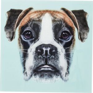 KARE DESIGN Obraz na skle Dog Face 60×60 cm