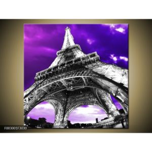Obraz Eiffelovy věže v Paříži (F003001F3030)