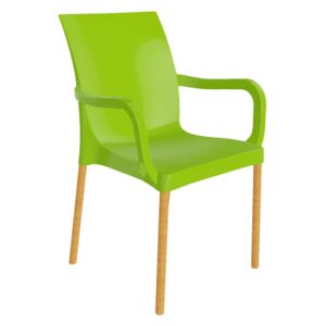 GABER - Židle IRIS BL B, zelená/buk