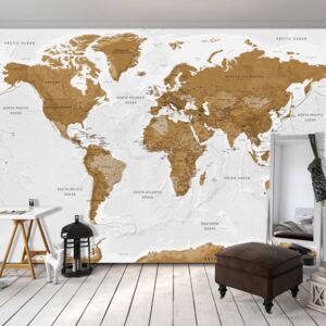 Samolepící fototapeta - Mapa světa: Bílé oceány - World Map: White Oceans + zdarma lepidlo - 196x140