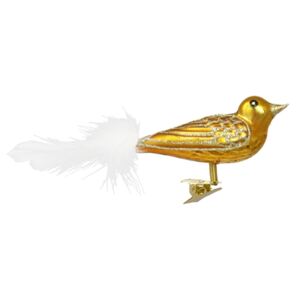 Ptáček zlatý