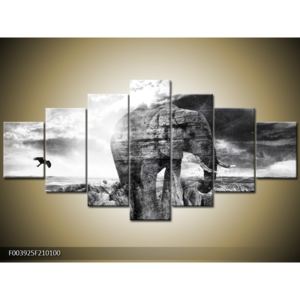 Moderní obraz slona (F003925F210100)