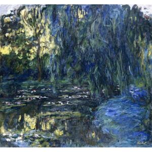 Obraz, Reprodukce - View of the Lilypond with Willow, c.1917-1919, Monet, Claude