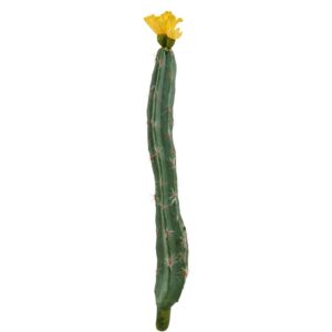 Butlers FLORISTA Kaktus - zelená/žlutá