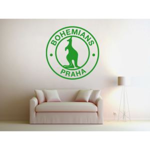 FC Bohemians Praha 100 x 100 cm