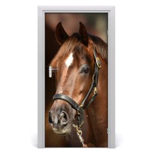 Samolepící fototapeta na dveře Kůň portrét