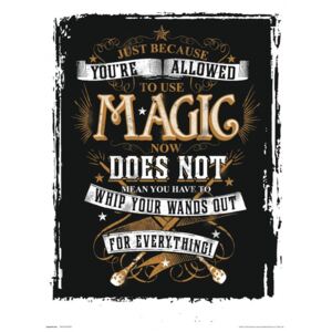 Obraz, Reprodukce - Harry Potter - Magic, (30 x 40 cm)