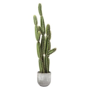 KARE DESIGN Dekorativní předmět Plant Cactus Pot 202 cm, Vemzu