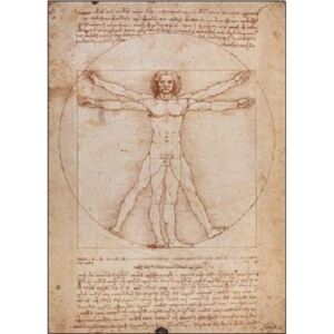 Obraz, Reprodukce - Vitruvius - Proporce lidské postavy, Leonardo Da Vinci, (24 x 30 cm)