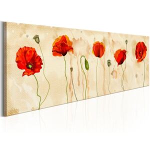 Obraz na plátně Bimago - Tears of Poppies 150x50 cm