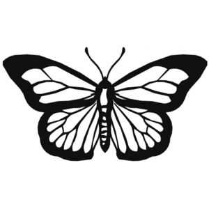 Hector Nástěnná dekorace Motýl černá