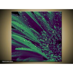Obraz kapek vody na zeleném květu (F003599F3030)