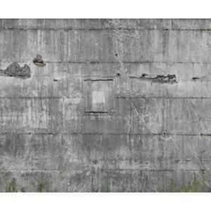 Vliesový panel na zeď Rasch 445510, kolekce Factory II, Factory III, styl moderní, 372 x 300 cm