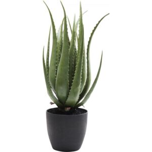 KARE DESIGN Dekorativní předmět Plant Aloe 69 cm