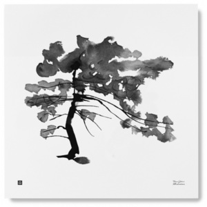 Plakát Pine Tree 50x50 Teemu Järvi