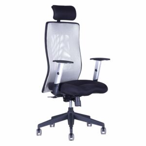 Calypso Grand SP1 kancelářská židle s podhlavníkem (Calypso Grand SP1 Office Pro)