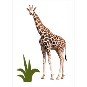 SAMAK DESIGN Plakát Safari - Žirafa Rozměr plakátu: A4 - 210x297 mm