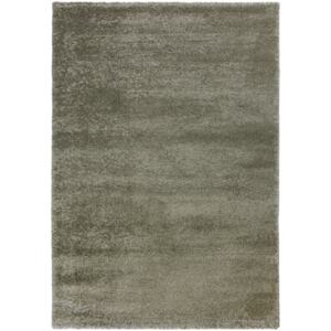 Flair Rugs koberce Kusový koberec Sleek Sage Green - 120x170 cm