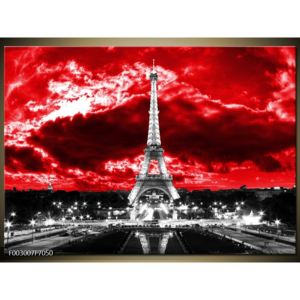 Obraz Eiffelovy věže v Paříži (F003007F7050)