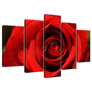 Obraz na plátně Květ červené růže 100x63cm 280A_5D