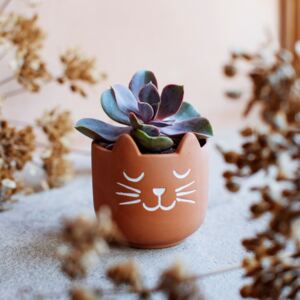 Hnědý květináč s motivem kočičky z pálené hlíny Sass & Belle