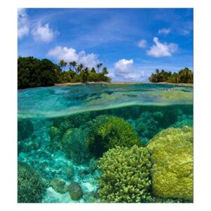Vliesové fototapety na zeď Korálový útes | MS-3-0200 | 225x250 cm