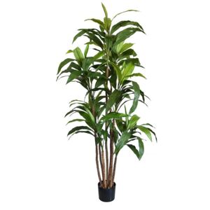 MF Umělá rostlina Dracena (170cm)