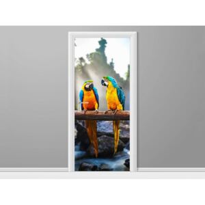 Samolepící fólie na dveře Barevní papoušci 95x205cm S-ND1994A_1GV