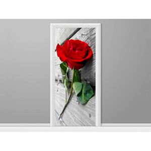 Samolepící fólie na dveře Růže plná barev 95x205cm ND3400A_1GV