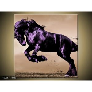 Obraz fialového koně (F002671F3030)