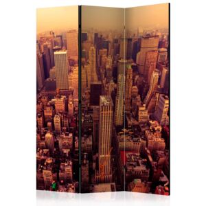 Paraván - Bird Eye View Of Manhattan, New York 135x172