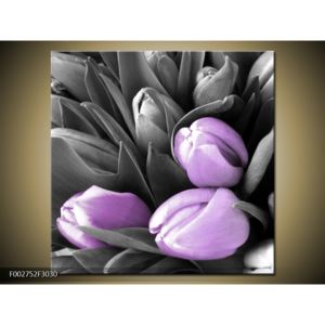 Obraz tří fialových tulipánů (30x30 cm)