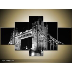 Černobílý obraz - Tower Bridge (F001786F12570)