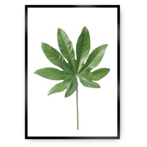 Plakát Leaf Green
