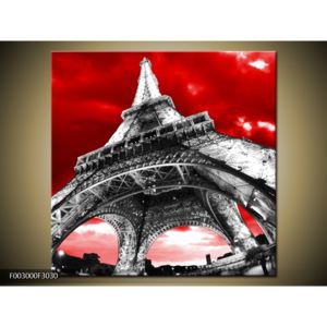 Obraz černobílé Eiffelovy věže (F003000F3030)
