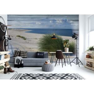 Fototapeta - Rustic Coastal Wood Planks Beach Papírová tapeta - 368x280 cm