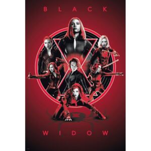 Plakát, Obraz - Black Widow - Legacy, (61 x 91.5 cm)