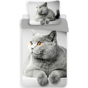 Povlečení fototisk 3D Grey cat 140x200+70x90 cm